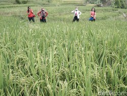 10 Wisata Terbaru di Sentul dengan Pemandangan yang Asri