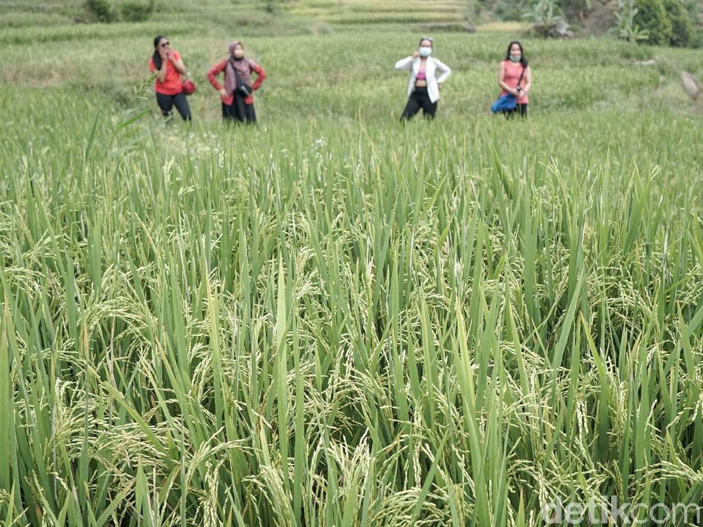 10 Wisata Terbaru di Sentul dengan Pemandangan yang Asri 10 Wisata Terbaru di Sentul dengan Pemandangan yang Asri