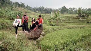 Hiking ke Curug Menembus Sawah-Perbukitan Ini ada di Sentul Lho