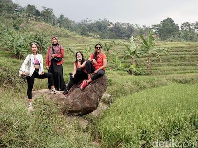 Hiking ke Curug Menembus Sawah-Perbukitan Ini ada di Sentul Lho