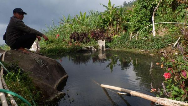 Potret Kolam Ikan dengan Air Panas di Dieng