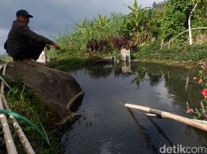 Potret Kolam Ikan dengan Air Panas di Dieng Potret Kolam Ikan dengan Air Panas di Dieng