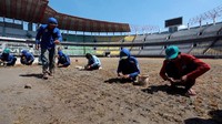 Rumput stadion juga mulai diganti.