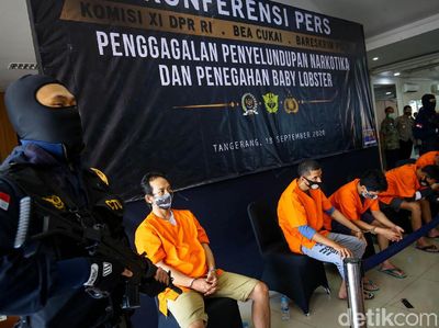 Jutaan Benih Lobster Ilegal Gagal Terbang ke Vietnam