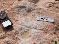 Temuan Mengejutkan Jejak Kaki Manusia Ratusan Ribu Tahun Silam di Saudi