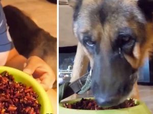 Tren Video Mukbang Hewan di China Dikritik Keras