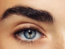 Anda Cenderung Narsis Jika Punya Alis Tebal, Kata Ilmuwan Peraih Penghargaan