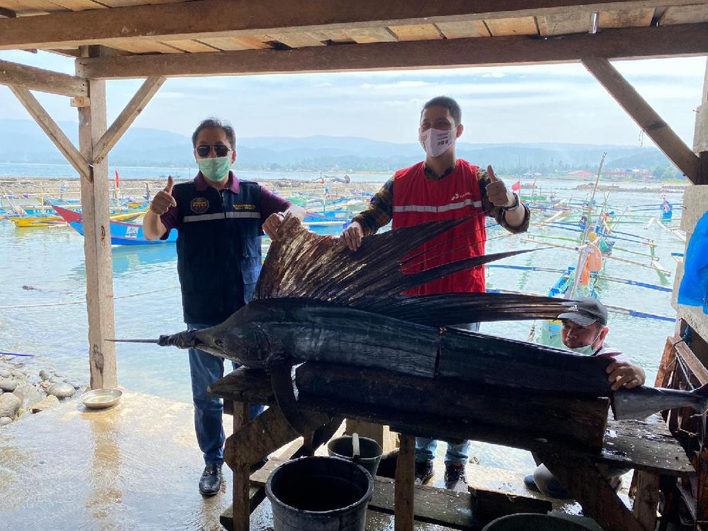 BPH Migas Minta Pertamina Bangun SPBN di Pelabuhan Krui BPH Migas Minta Pertamina Bangun SPBN di Pelabuhan Krui