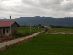 Damainya Kampung Yooi di Pulau Langkawi