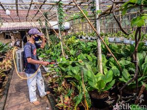 Industri Pengendali Hama Minta Pemerintah Terbitkan Aturan Soal Perizinan Industri Pengendali Hama Minta Pemerintah Terbitkan Aturan Soal Perizinan