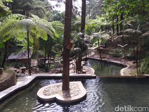 Ini Curug Cipeteuy Majalengka, Wisata Alam Favorit Ridwan Kamil