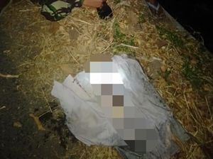 Mayat Bayi Terbungkus Kain Kafan Ditemukan Hanyut di Sungai Situbondo