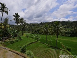 Pemkab Banyuwangi Berupaya Minta Tambahan Pupuk Bersubsidi dari Pusat