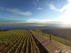 Jalan Tol Kayangan Dieng, Ada di Ketinggian 1700 Mdpl
