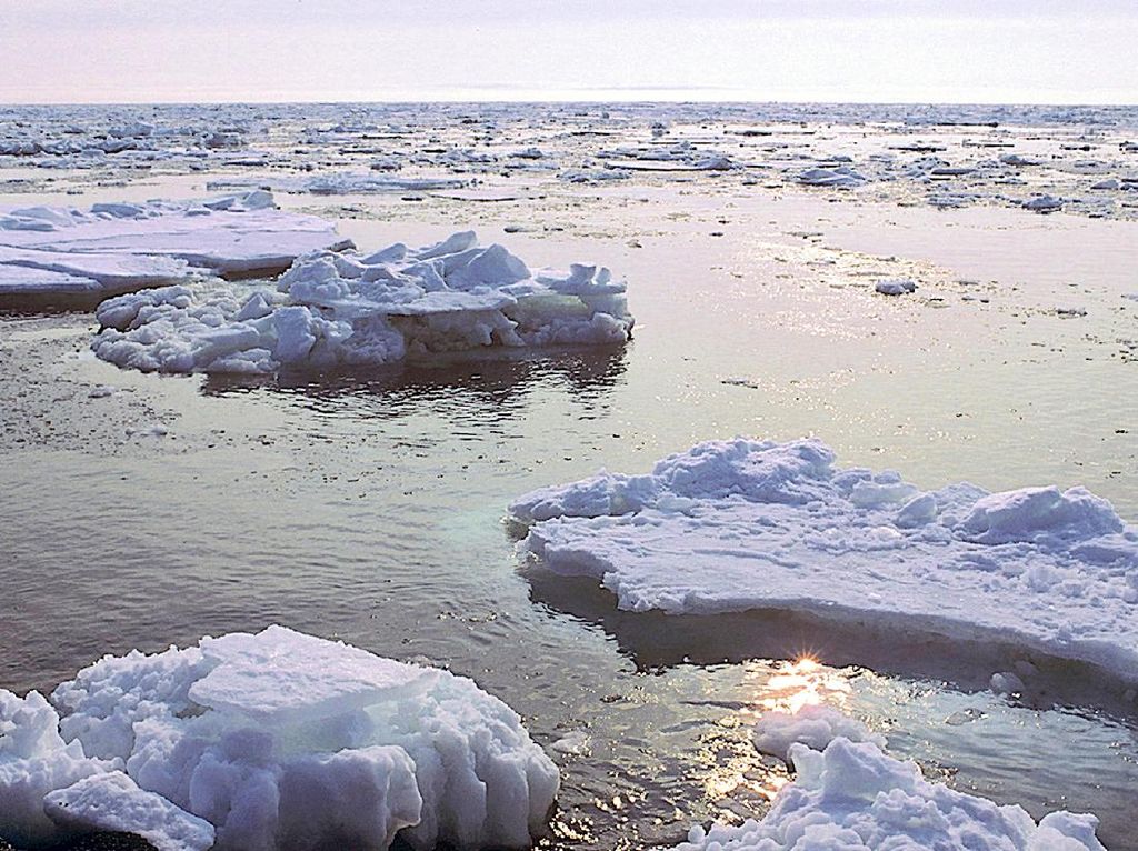 Lapisan Es di Laut Ini Berkurang Drastis dari 5.500 Tahun Lalu Lapisan Es di Laut Ini Berkurang Drastis dari 5.500 Tahun Lalu