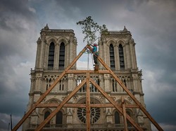 Sedang Direvitalisasi, Arkeolog Temukan Penemuan Mengejutkan di Notre Dame Paris