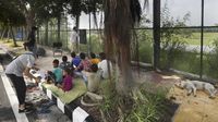 Sekolah Jalanan Untuk Warga Miskin di India