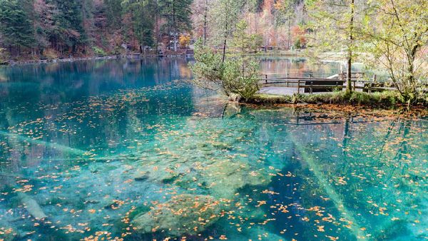 Danau Blausee yang Mirip Negeri Dongeng