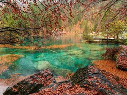 Blausee, Danau Patah Hati di Swiss yang Paling Romantis
