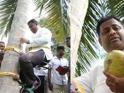 Menteri di Sri Lanka Ini Viral Usai Gelar Jumpa Pers di Atas Pohon Kelapa