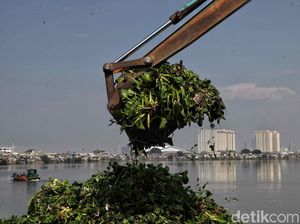Foto Pengerukan Waduk Pluit Siap Antisipasi Banjir Foto Pengerukan Waduk Pluit Siap Antisipasi Banjir