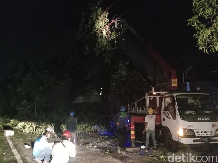 Petugas PLN melakukan perimbasan pohon di Jalan Jati, Kecamatan Jati, Kudus, Selasa (22/9/2020).