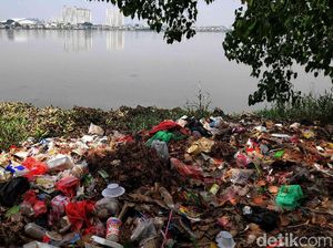 Potret Waduk Pluit yang Kumuh dan Tak Terawat Potret Waduk Pluit yang Kumuh dan Tak Terawat