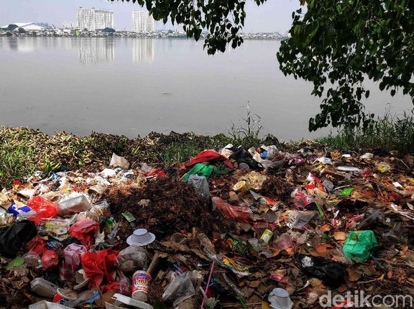 Potret Waduk Pluit yang Kumuh dan Tak Terawat