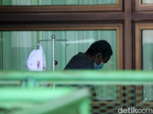 Studi Terbaru Sebut Demam Berdarah Bikin Kebal Corona Studi Terbaru Sebut Demam Berdarah Bikin Kebal Corona