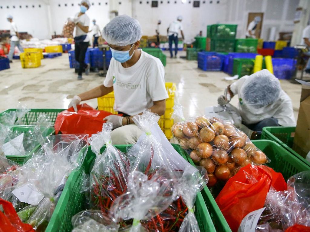 Melihat Gudang Distributor Sayur dan Buah Online di Masa Corona Melihat Gudang Distributor Sayur dan Buah Online di Masa Corona