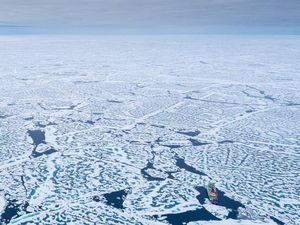 Kebakaran Zombie di Kanada Membingungkan Ilmuwan