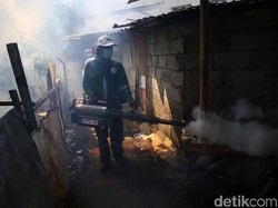 DBD Menyerang di Tengah Pandemi COVID-19, 9 Meninggal di Klaten