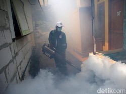 Puncak Musim Hujan, DBD Tewaskan 9 Orang di Klaten