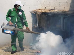 Dinkes Boyolali Ternak Nyamuk Wolbachia di Tengah Ancaman DBD