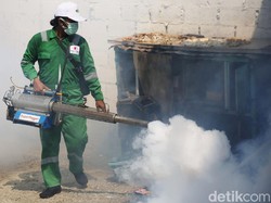 Dinkes Boyolali Ternak Nyamuk Wolbachia di Tengah Ancaman DBD