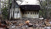 Foto-foto Rumah Tua yang Viral di Tengah Kebun Jati Gunungkidul