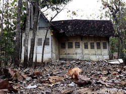Viral Rumah Tua di Tengah Kebun Jati Gunungkidul