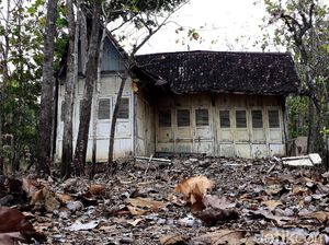 Viral Rumah Tua di Tengah Kebun Jati Gunungkidul Viral Rumah Tua di Tengah Kebun Jati Gunungkidul