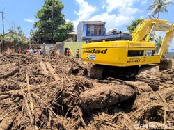 Bencana Alam di Jabar: Banjir Bandang Tewaskan 3 Orang-Pohon Tumbang
