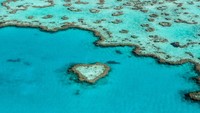 Great Barrier Reef di Australia Semakin Terancam!