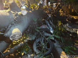 Duh... Pohon Tumbang Timpa 8 Motor Ojol di Bogor