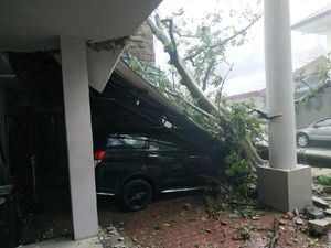 Ruangan-Mobil di Kantor BKSDA Sumut Rusak Ditimpa Pohon Tumbang