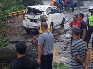 Hujan Angin Terjang Kota Sukabumi, Pohon Tumbang Timpa Mobil Hujan Angin Terjang Kota Sukabumi, Pohon Tumbang Timpa Mobil