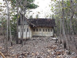 7 Fakta Mengejutkan dari Keberadaan Rumah Tua di Kebun Jati Gunungkidul