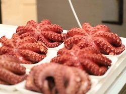 Kuliner Paling Berbahaya Kedua di Dunia Kembali Telan Korban Jiwa