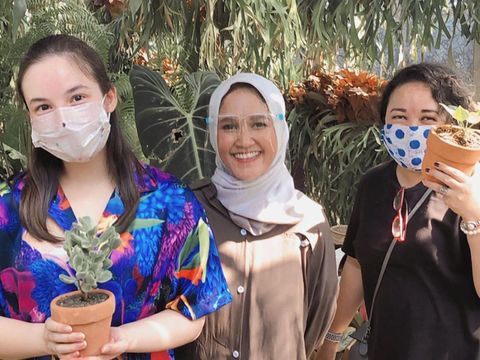 Bisnis tanaman hias Delfawood