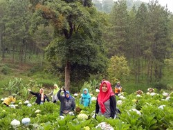 Foto: Kesejukan Coban Talun yang Tiada Duanya