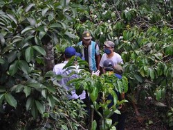 Gelar Bimtek di Jombang, Kementan Dorong Lahir Petani Milenial