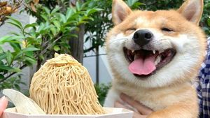 Gemas! Anjing Shiba Inu Ini Selalu Senyum Jika Lihat Makanan