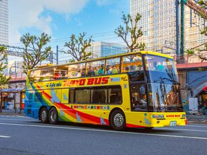 Wisata Unik di Jepang, Labirin dari Susunan Bus Pariwisata